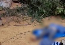 VÍDEOS: pai de caminhoneiro de Vilhena morre em acidente no MT durante ultrapassagem proibida