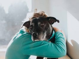 ARTIGO: oferecendo compaixão x recebendo solidão