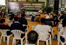 Programa “Agroleite” é lançado em RO; cerca de 3 mil produtores serão beneficiados
