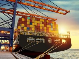 Brasil alcança 150 novos mercados externos para produtos agropecuários