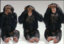 Rocha no PP, Direito na UNIR e a sensação de demagogia dos vereadores de Vilhena – Leia no “Cego, Surdo e Mudo”