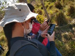 Recuperação ambiental é fortalecida com uso de sistema de georreferenciamento em RO