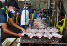 “Festival Nacional do Tambaqui da Amazônia” mobiliza produtores de peixe da região central de RO