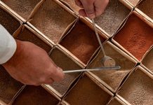 Teste vai determinar produtividade do solo na soja