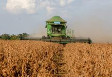 Governo destaca resultados apresentados no mapa da produção agropecuária de RO