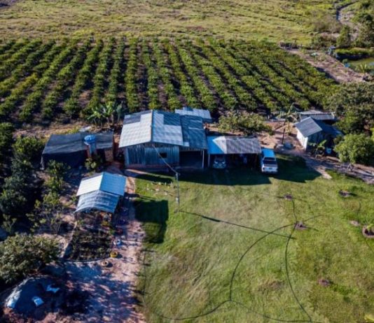 Agricultura familiar de RO deve receber investimento de R$ 6 mi após mutirão para entrega de Daps