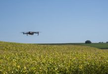 Mapa regulamenta uso de drones em atividades agropecuárias