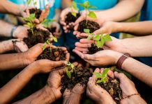 ARTIGO: a importância do meio ambiente para o homem