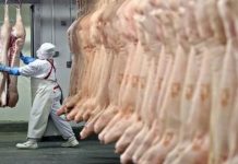 Exportações de carne suína mantém alta de 11,53% em 2021