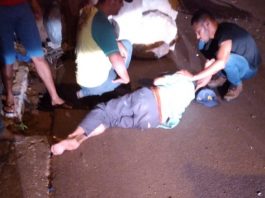 Carroceiro fica em estado grave e cavalo é sacrificado após serem atingidos por carro em Colorado