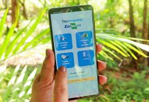 Aplicativo reúne dados sobre 131 tecnologias sustentáveis para Amazônia