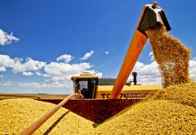 Valor da produção agrícola nacional cresce 30,4% e chega a R$ 470,5 bilhões, recorde da série