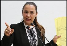 Ao rebater ataques, Rosangela Donadon diz que Japonês está mentindo e devolve recursos com alegações estapafúrdias