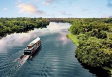 Mapa promove debate sobre plano para desenvolvimento sustentável da Amazônia Legal