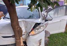 Em Vilhena, motorista alcoolizado perde controle e bate em árvore