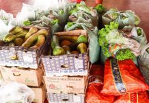 Em RO, mais de R$ 3 milhões foram investidos em 2021 na agricultura familiar por meio do Programa de Aquisição de Alimentos