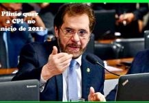 OPINIÃO DE PRIMEIRA: senador tucano exige urgência na abertura de CPI para investigar Ongs que atuam na Amazônia brasileira