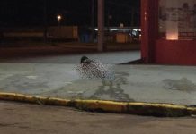 Mulher embriagada tira roupa e deita em calçada próxima ao HR de Vilhena