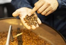 Safra de café deve registrar aumento de 16,8%, diz Conab