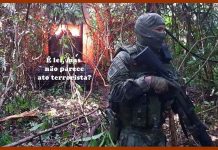 OPINIÃO DE PRIMEIRA: quem manda mesmo? Lei estadual contra queima de máquinas e equipamentos é inconstitucional