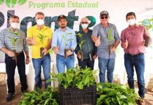 Luzinho Goebel cumpre agenda, entrega maquinários e mudas de café em nove municípios de RO