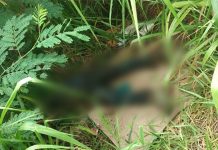 Corpo é encontrado na área rural de Vilhena; polícia é acionada