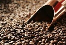 CAFÉ: com tendência de alta se confirmando, cotações avançam mais de 3% na Bolsa de Nova York