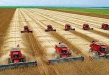 Soja de R$ 200 saca já é realidade no Brasil com negócios sendo reportados no RS