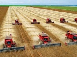 Soja de R$ 200 saca já é realidade no Brasil com negócios sendo reportados no RS