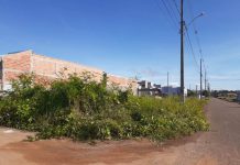 Moradores do Cidade Verde II reclamam do matagal em lotes abandonados que está servindo para esconderijo de bandidos