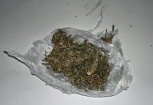 Em Vilhena, mulher perde duas gramas de maconha após entrar em distribuidora assaltada para comprar papel “Leda”