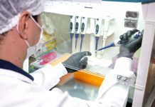 Teste para covid-19 continua sendo fundamental para ações de vigilância e prevenção contra a doença em RO