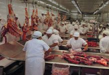 China suspende compra de carne de unidades de JBS, Marfrig e Naturafrig por uma semana