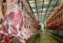 Volume de exportação de carne bovina de RO aponta para novo recorde em 2022