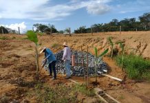 Recuperação de nascentes é uma das pautas de Padovani no congresso