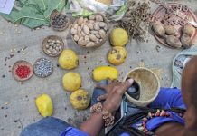 Portal Memórias Indígenas fortalece a identidade de diversos povos com a valorização de seus saberes e ancestralidades