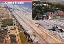 OPINIÃO DE PRIMEIRA: Alemanha destrói floresta de 12 mil anos para produzir carvão, sob silêncio de Ongs e ambientalistas