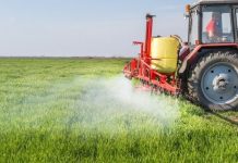 Comitiva do Ministério da Agricultura vai a Jordânia, Egito e Marrocos para ampliar negociações de fertilizantes