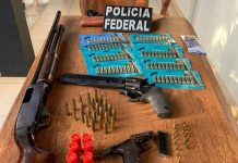 PF deflagra operação de combate ao desmatamento do Parque Nacional do Mapinguari em RO