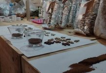 Em Cacoal, começa primeiro encontro brasileiro de degustadores de café