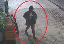 Câmera de segurança registra momento que mulher furta flores de comércio em Cerejeiras