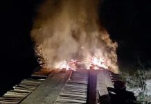Ponte de parque florestal é incendiada após polícia ser atacada por homens encapuzados em RO