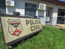 Ladrão arromba portão e furta duas cachorras em Cerejeiras