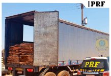 PRF apreende carga de madeira sendo transportada de forma irregular em Vilhena