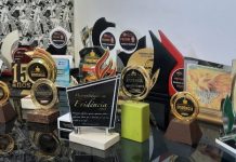 REFERÊNCIA: mais uma vez, EXTRA DE RONDÔNIA vai receber prêmio de site de notícias mais acessado em Vilhena