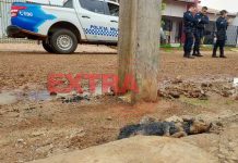 Mais um ataque de Pit Bull é registrado em Vilhena