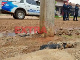 Mais um ataque de Pit Bull é registrado em Vilhena