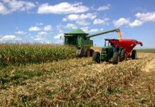 Milho perde força em Chicago após inflação dos EUA