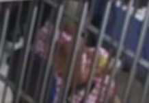 Armada, idosa obriga funcionários da Energisa religarem energia elétrica de casa minutos após ser cortada em RO