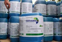 Em Cerejeiras, ladrões arrombam barracão de propriedade rural e furtam R$ 75 mil de produtos agrícolas